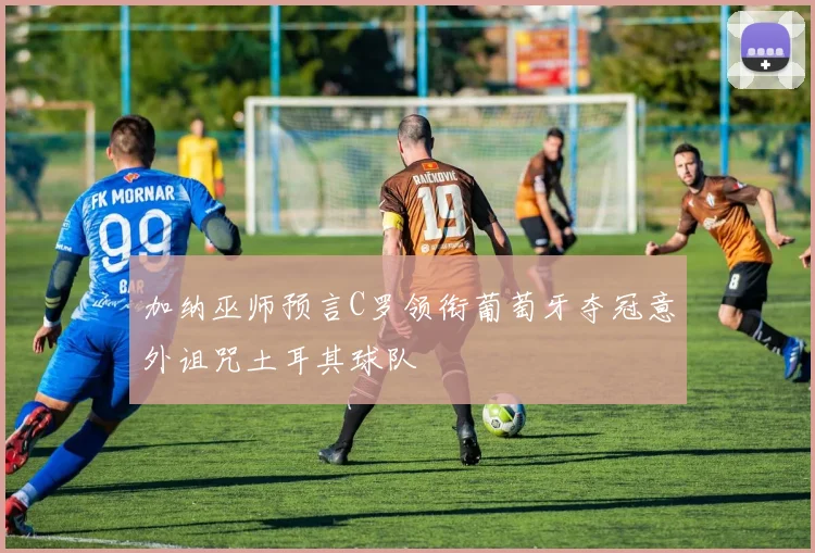 加纳巫师预言C罗领衔葡萄牙夺冠意外诅咒土耳其球队